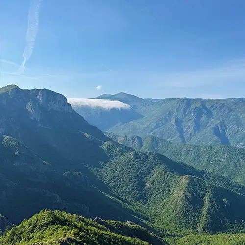 Profil Bosnia and Herzegovina